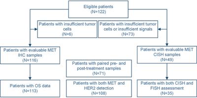 The Significance of MET Expression and Strategies of Targeting MET Treatment in Advanced Gastric Cancer